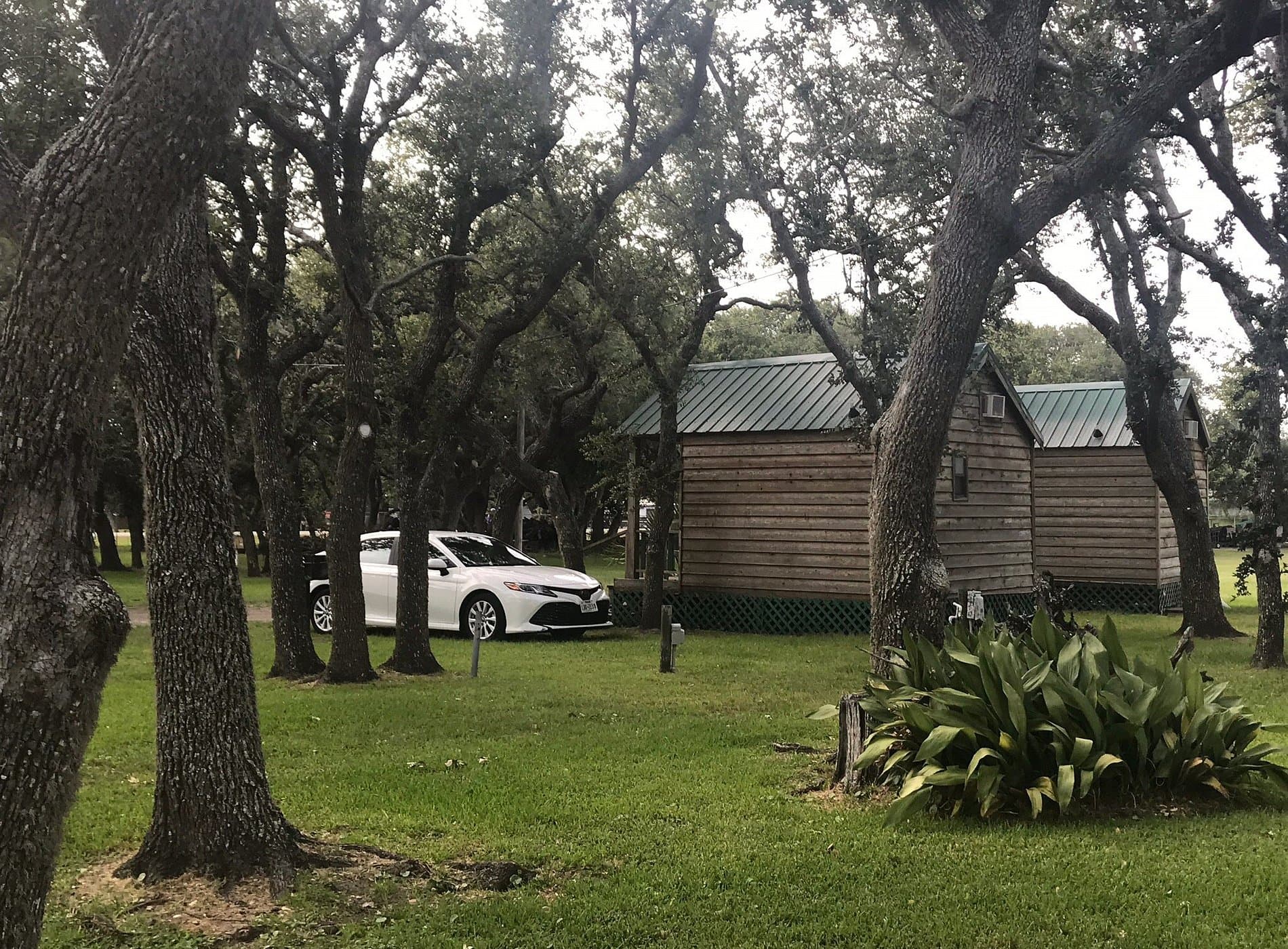 Ancient Oaks RV Park - Rockport, TX