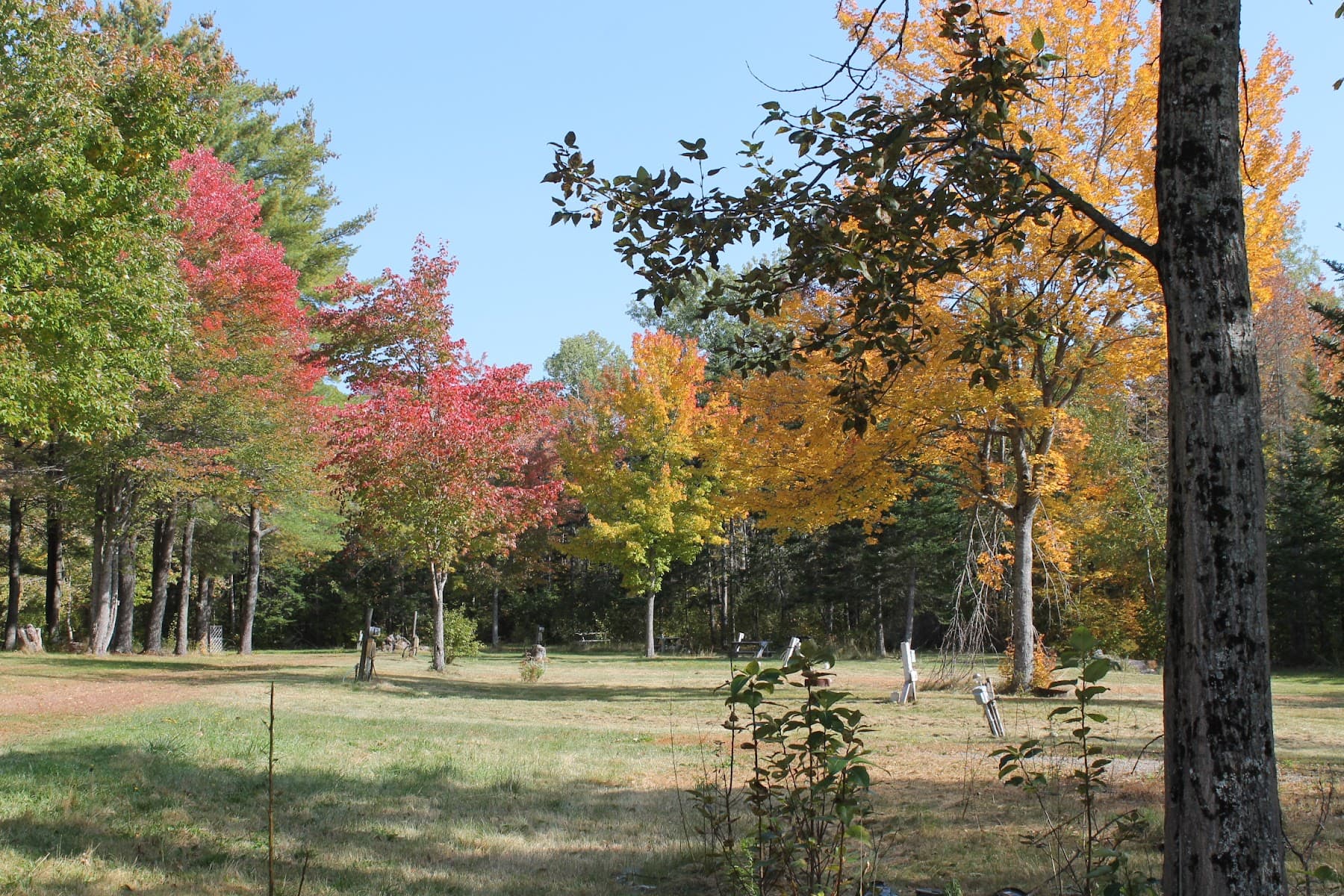 Mystic Valley Campground