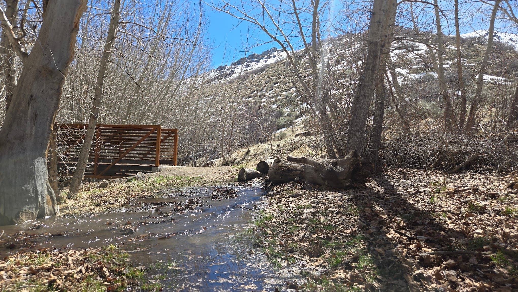 Water Canyon Campground