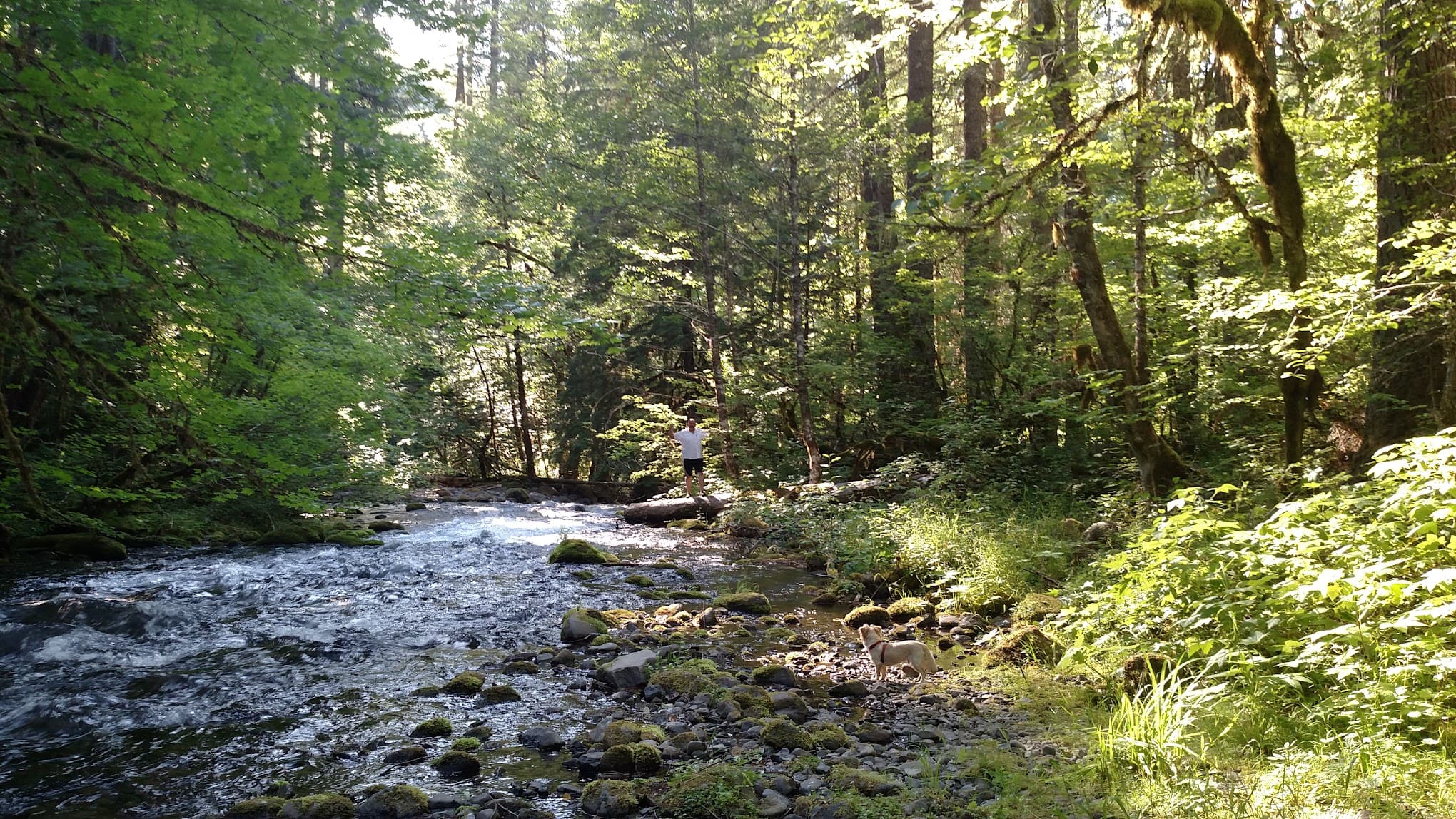 Roaring River Group Campground