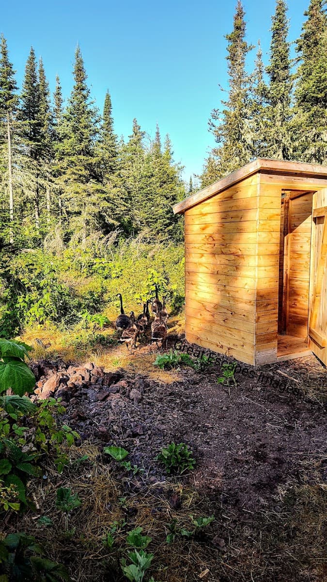 Caribou Island Campground
