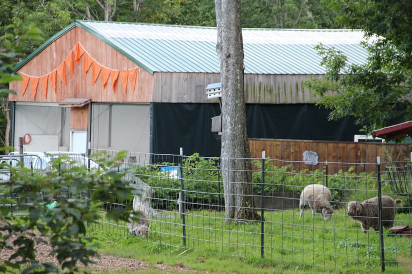 Searsport Shores Ocean Campground