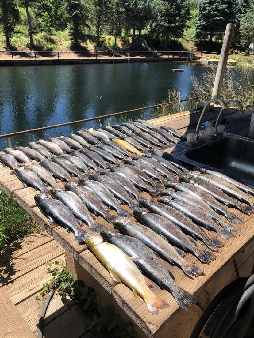 Seeping Springs Trout Lakes & RV Park