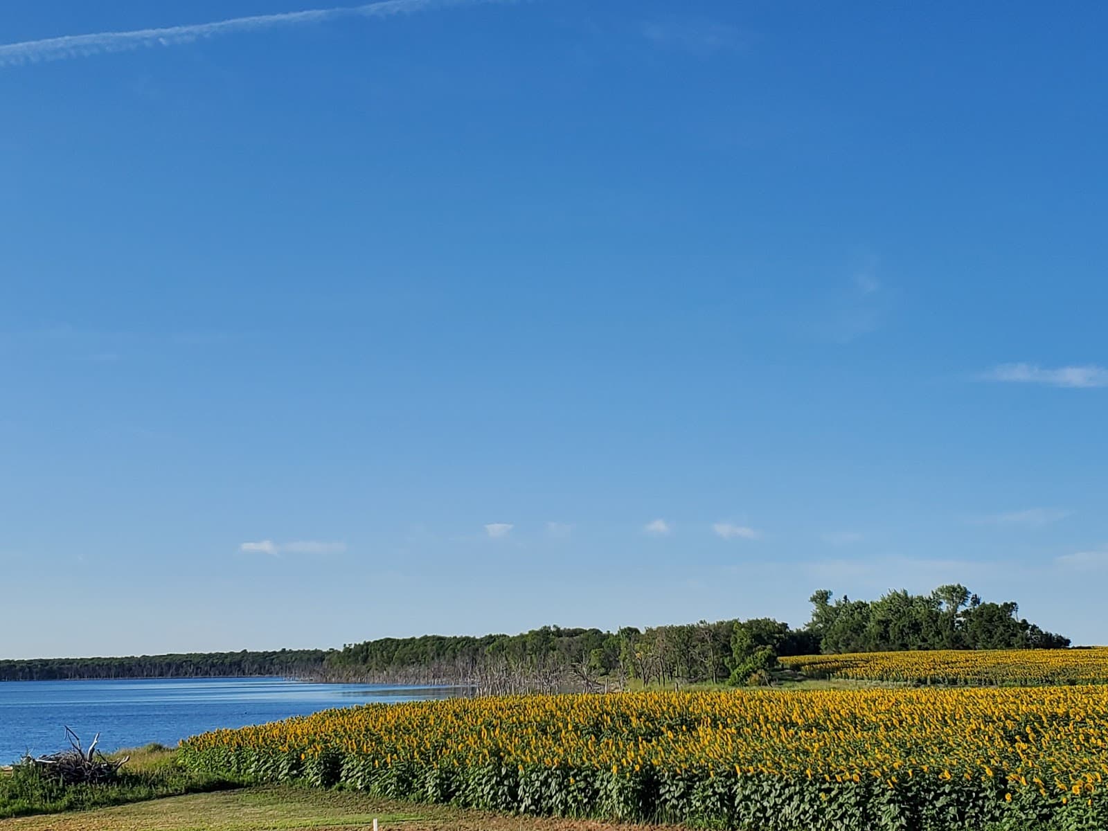 Moonlit Bay Seasonal RV Site