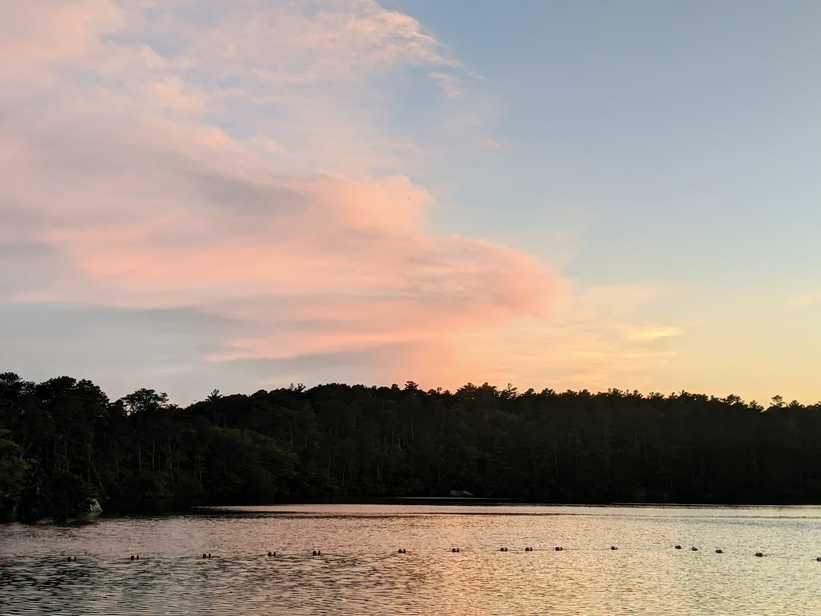 Nickerson State Park - Area 3