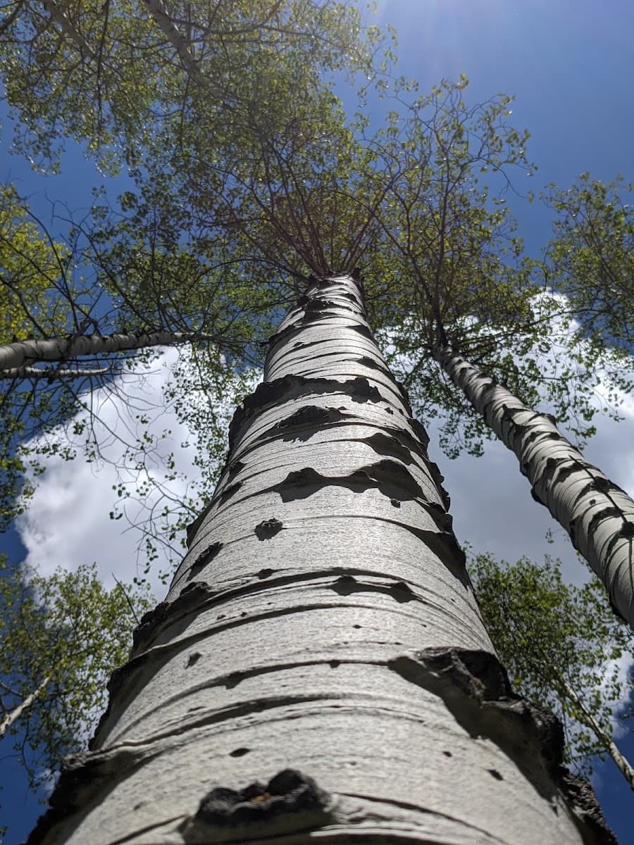 Lost Creek Campground