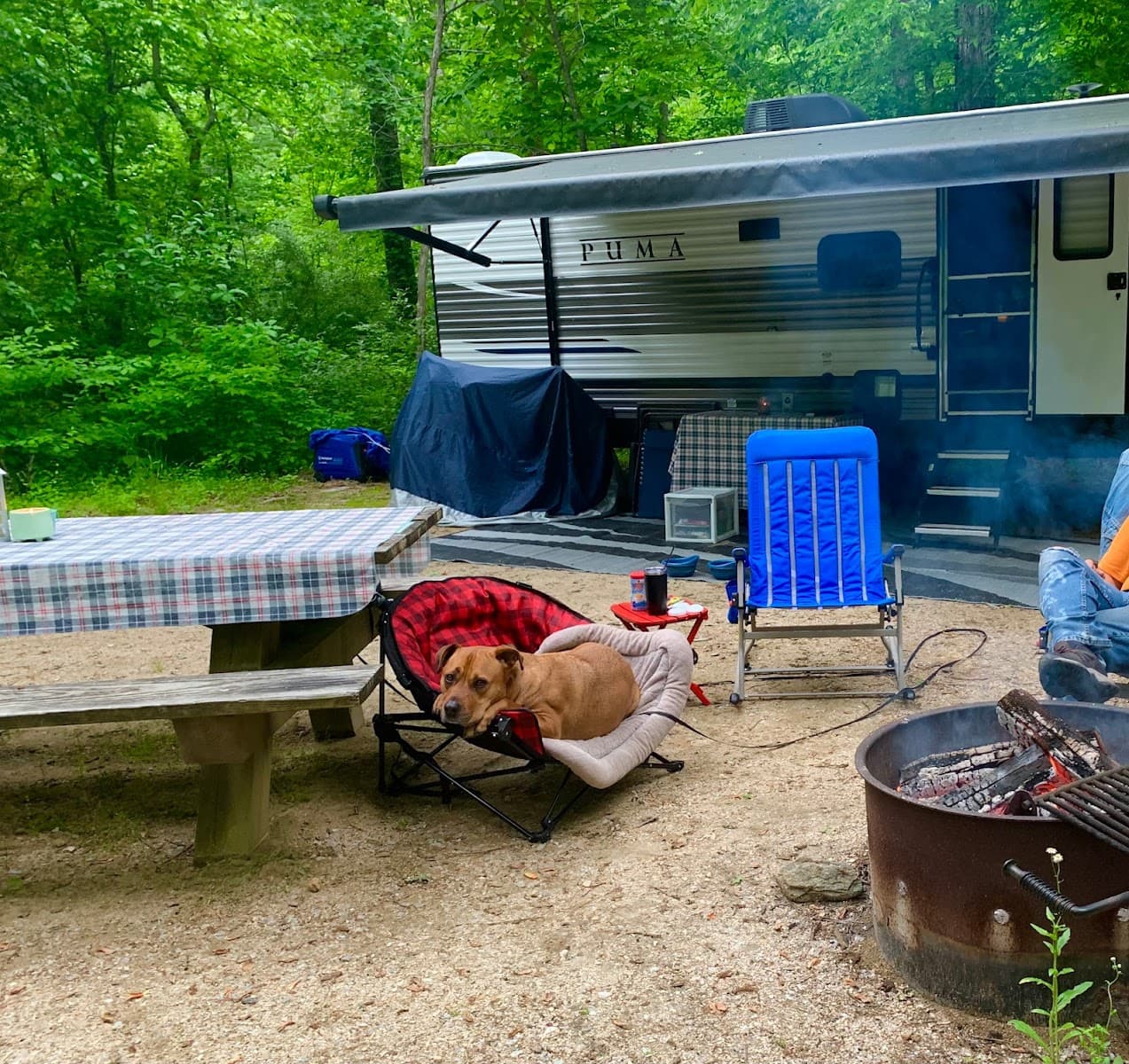 Cave Mountain Lake Campground