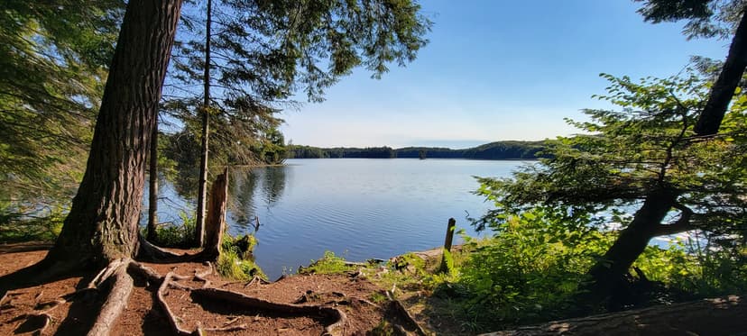 Porcupine Campground 2