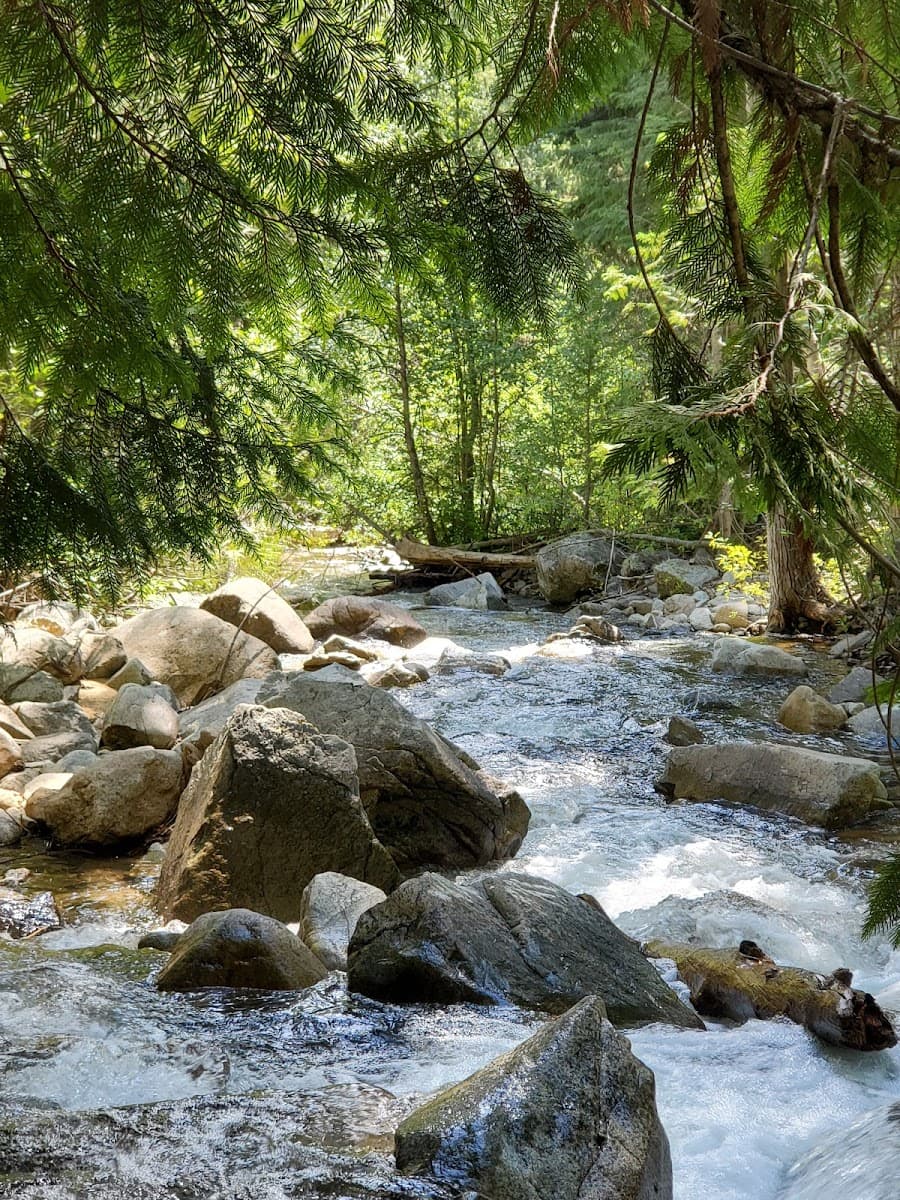 Falls Creek Campground