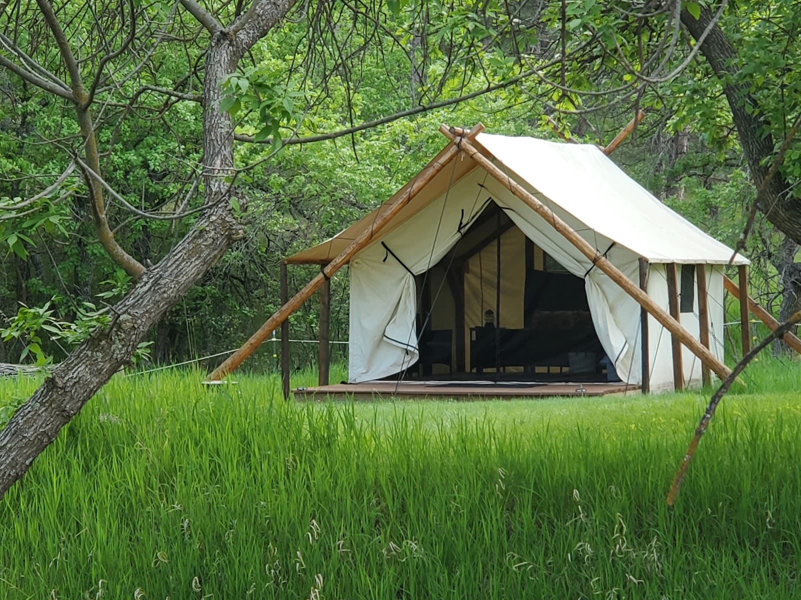 Bear Den Cabins & Camp - Hermosa, SD