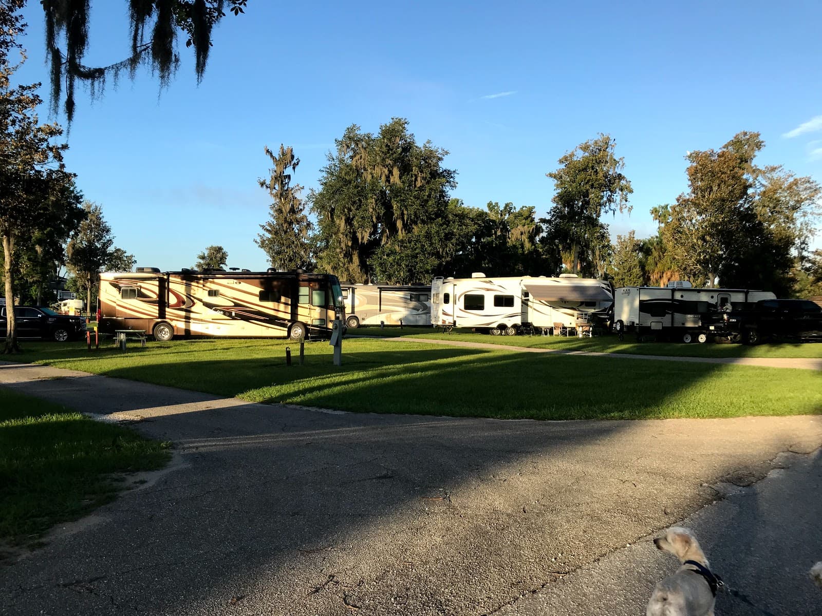 Ocala RV Camp Resort