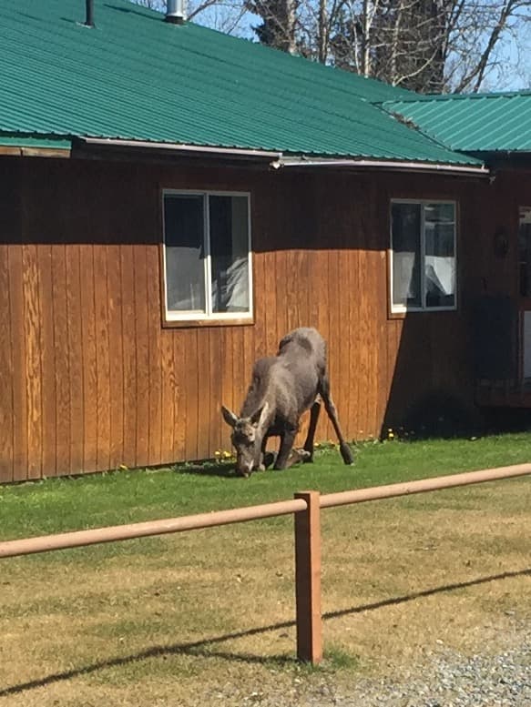 Edgewater Lodge & RV Park