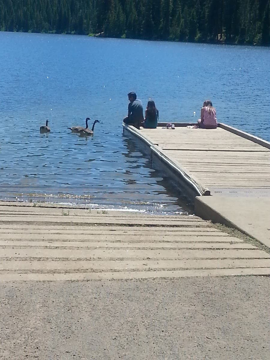 Sage Hen Creek Campground