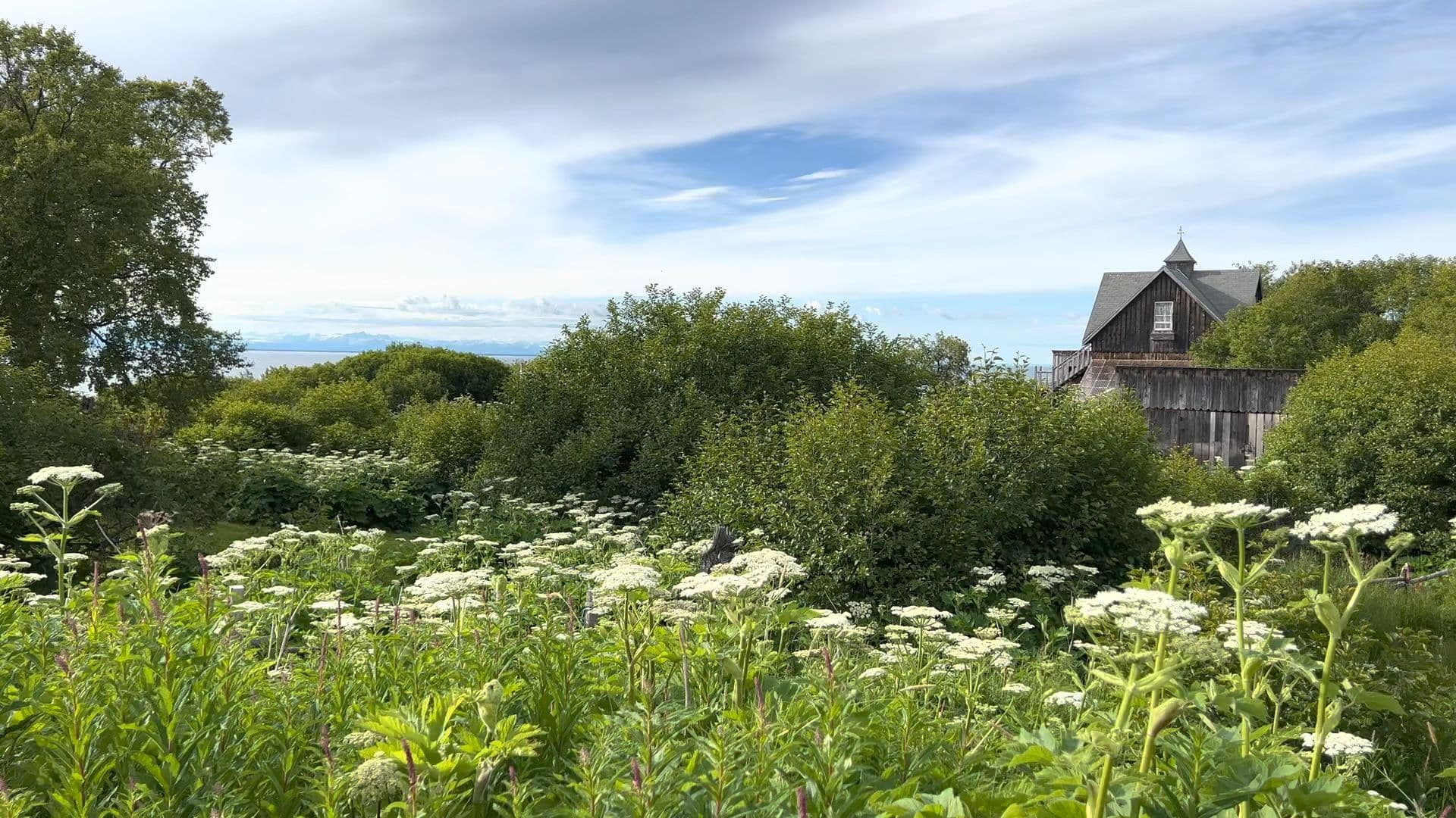 Ninilchik View Campground