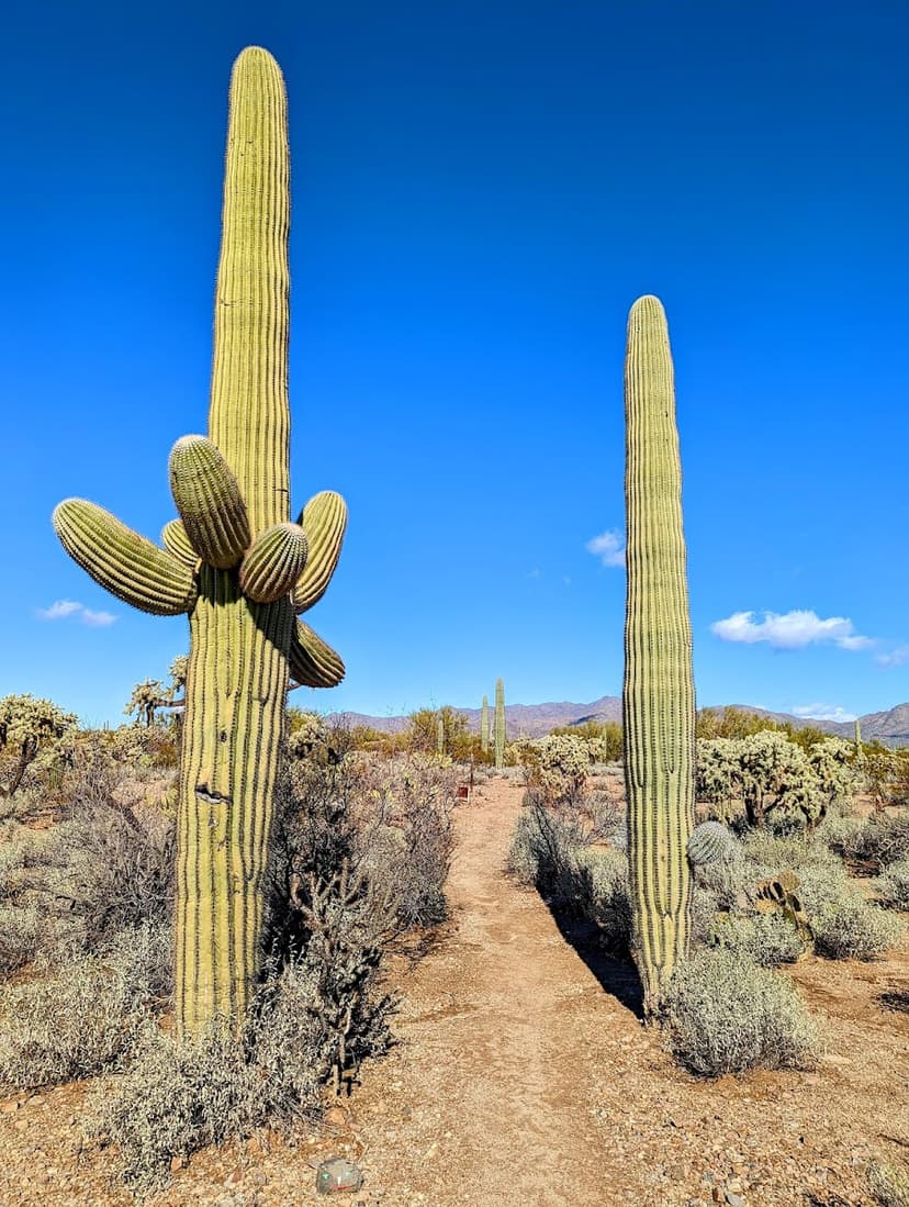 Justin's Diamond J RV Park