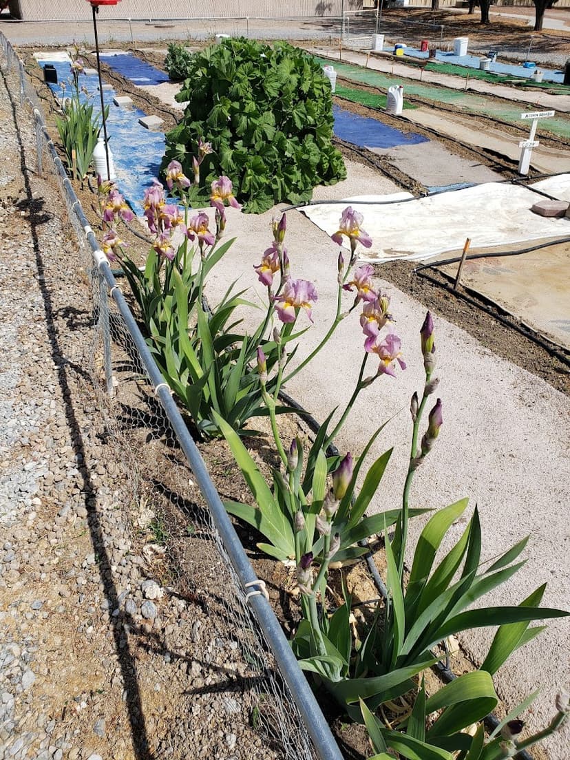 Escapees Co-Op of Nevada, Inc.