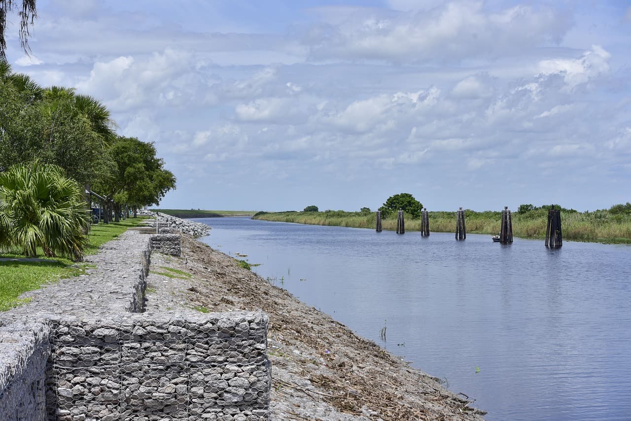 Serene shoreline of Lake Okeechobee in Florida with lush tropical vegetation