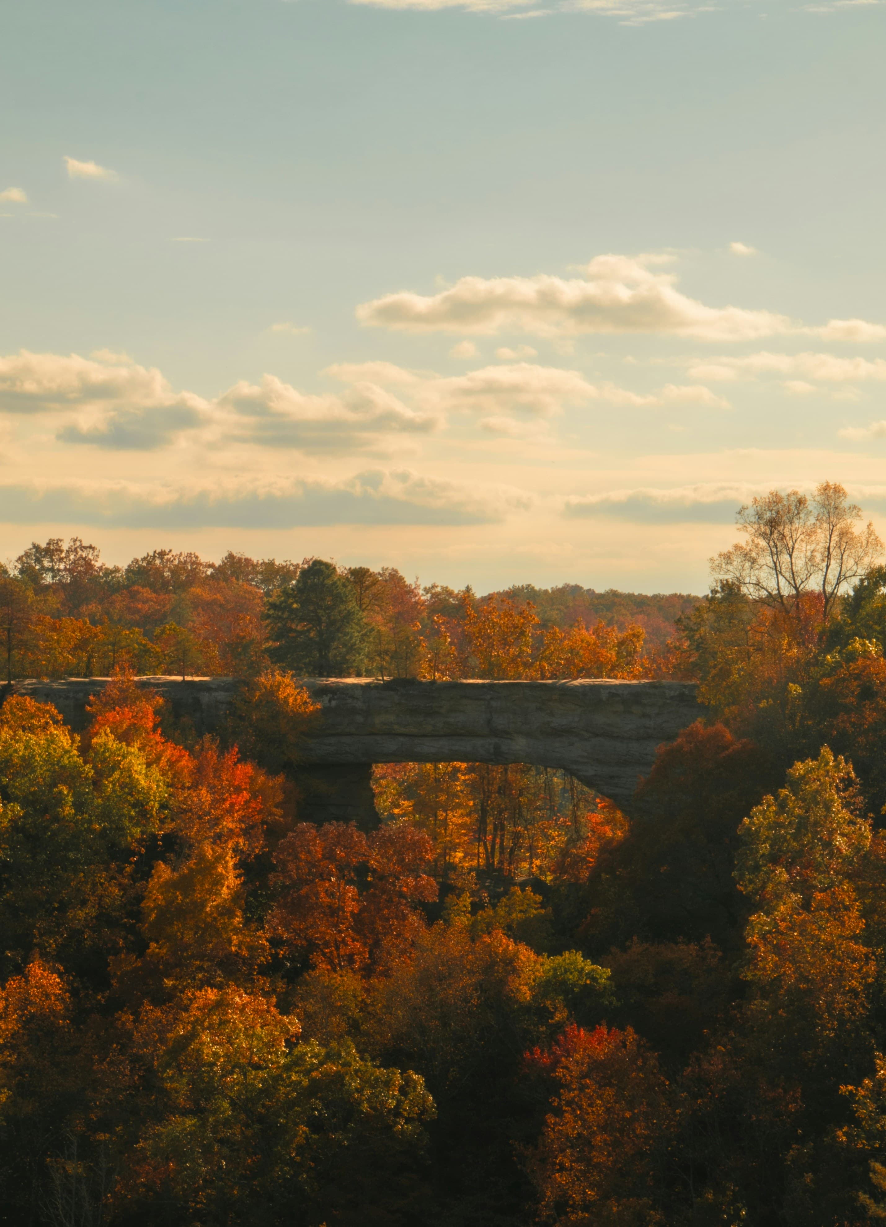 Scenic sunrise at Red River Gorge in Kentucky by Michaela C