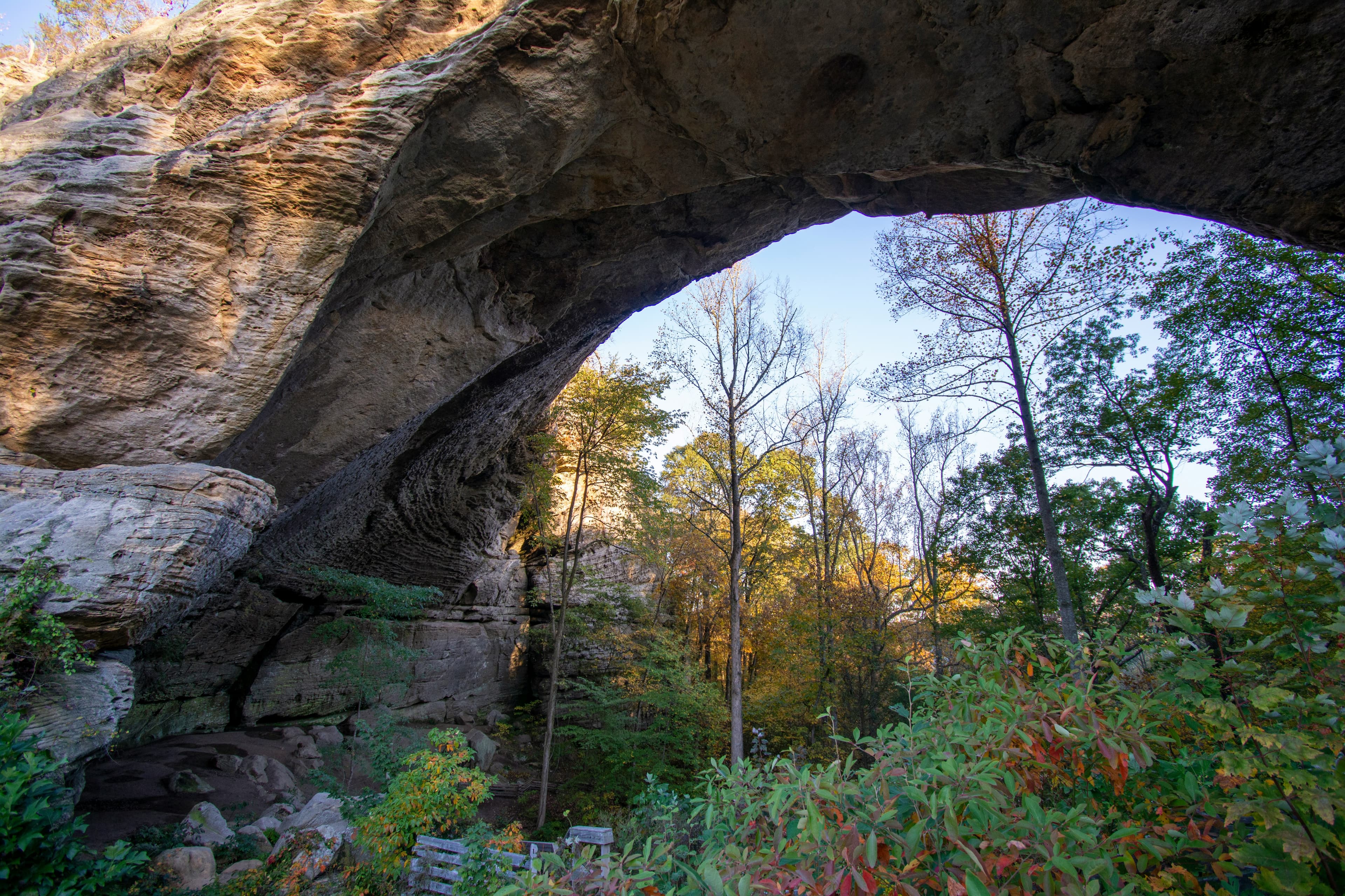 Joshua M photographs majestic Natural Bridge State Park landscape