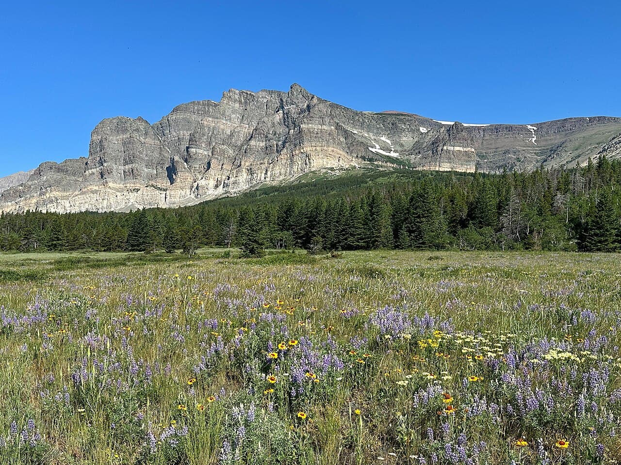 Serenene landscape of Many Glacier Area at Glacier National Park in Montana
