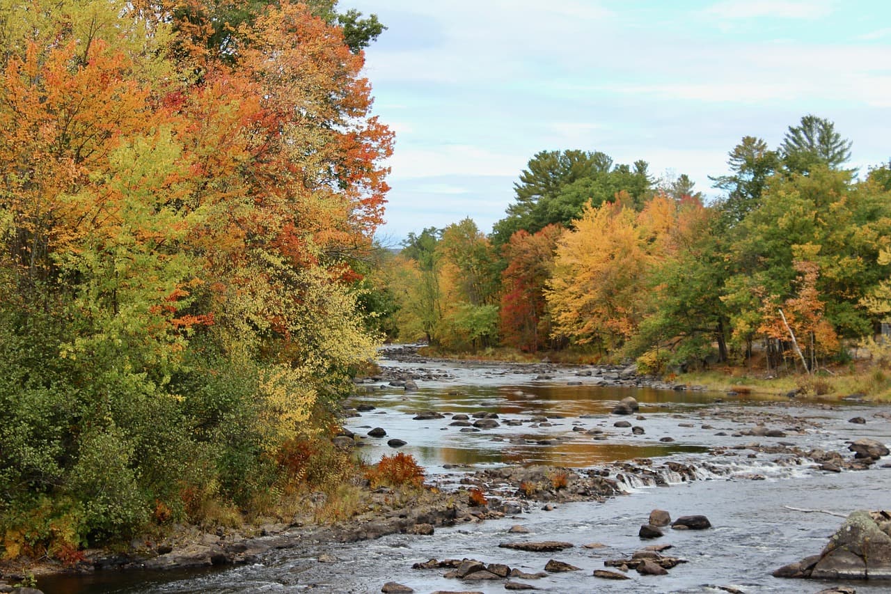 Autumn foliage along a river in New Hampshire