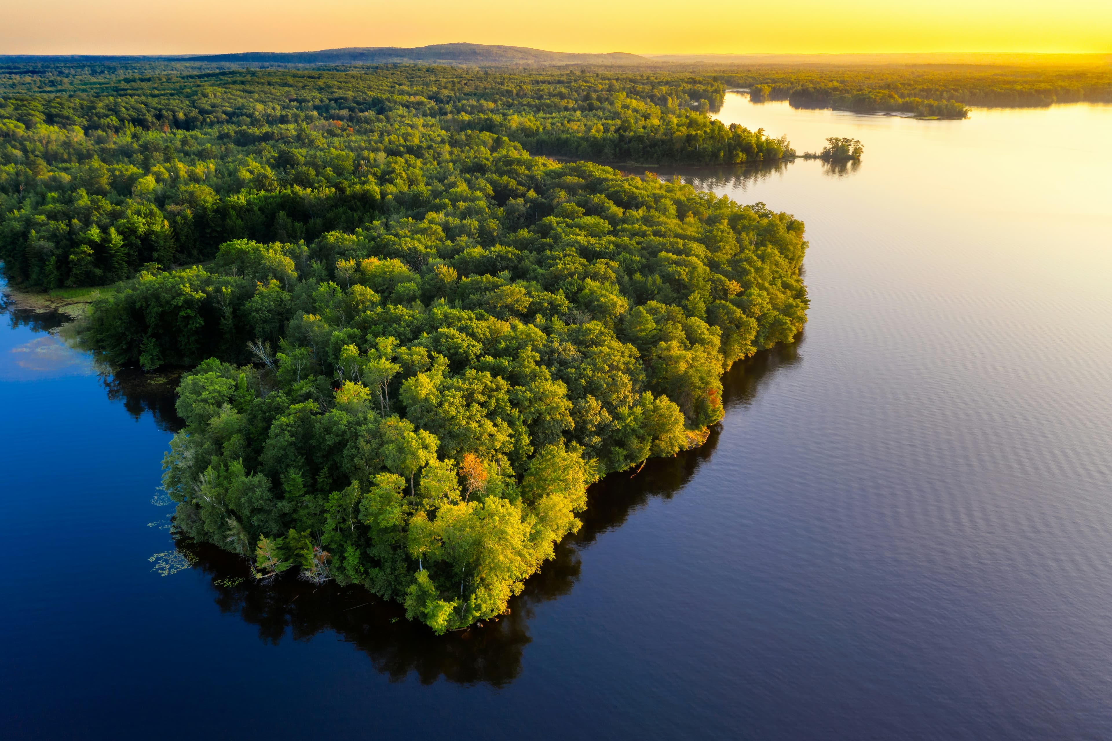 Vibrant fall colors in Wisconsin's Kettle Moraine State Forest