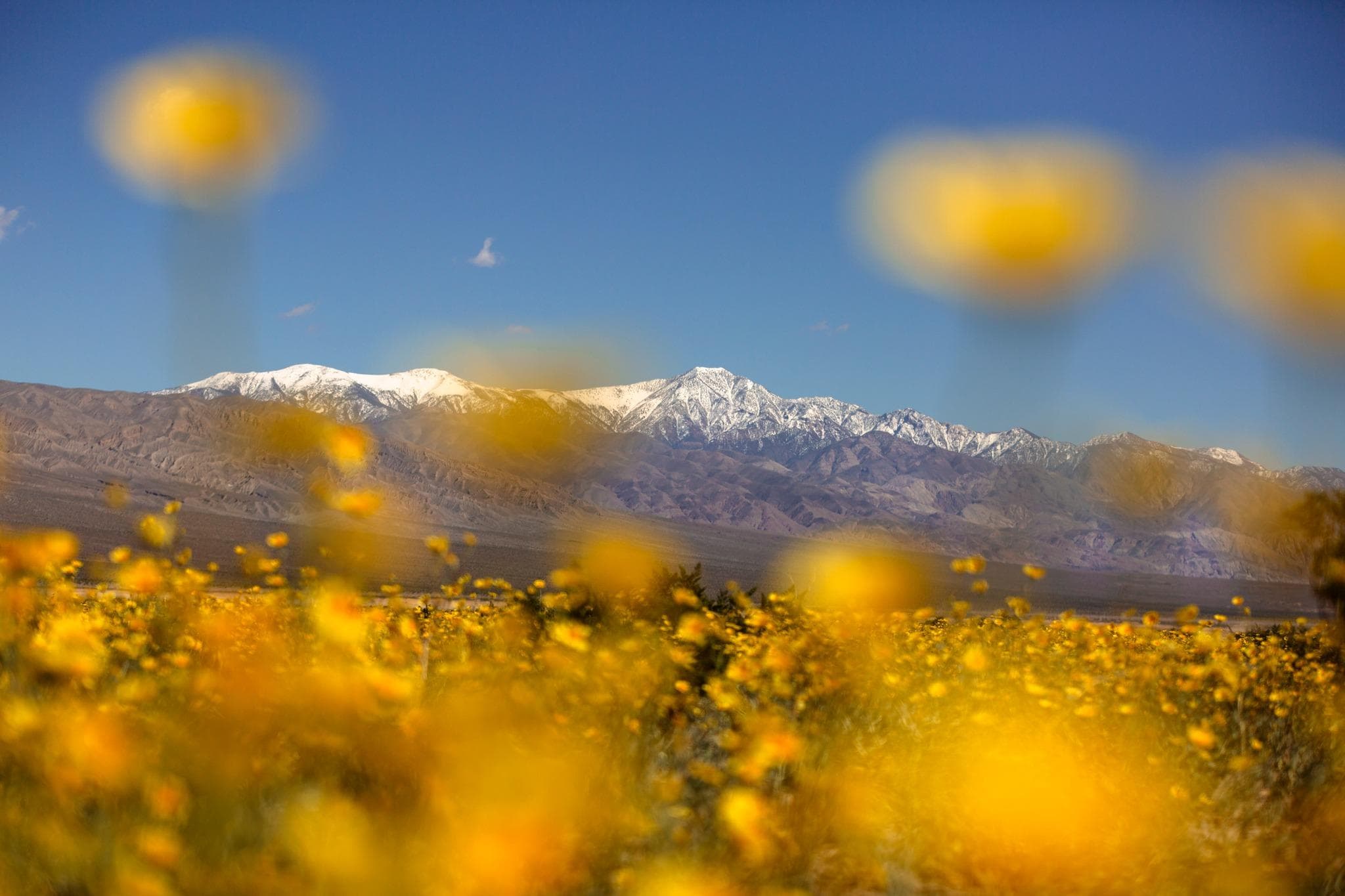 Death Valley National Park