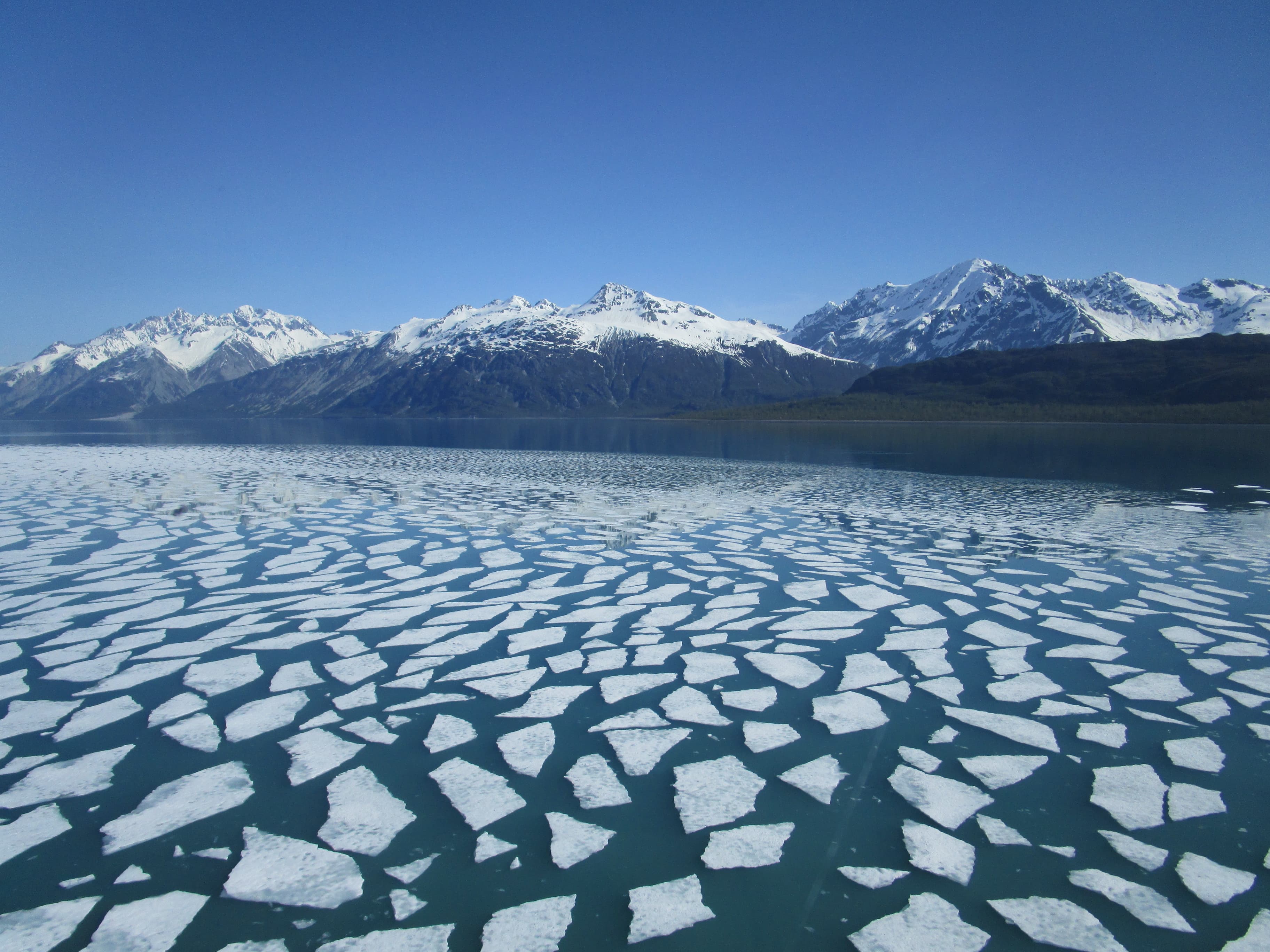 Pan ice in Tarr Inlet