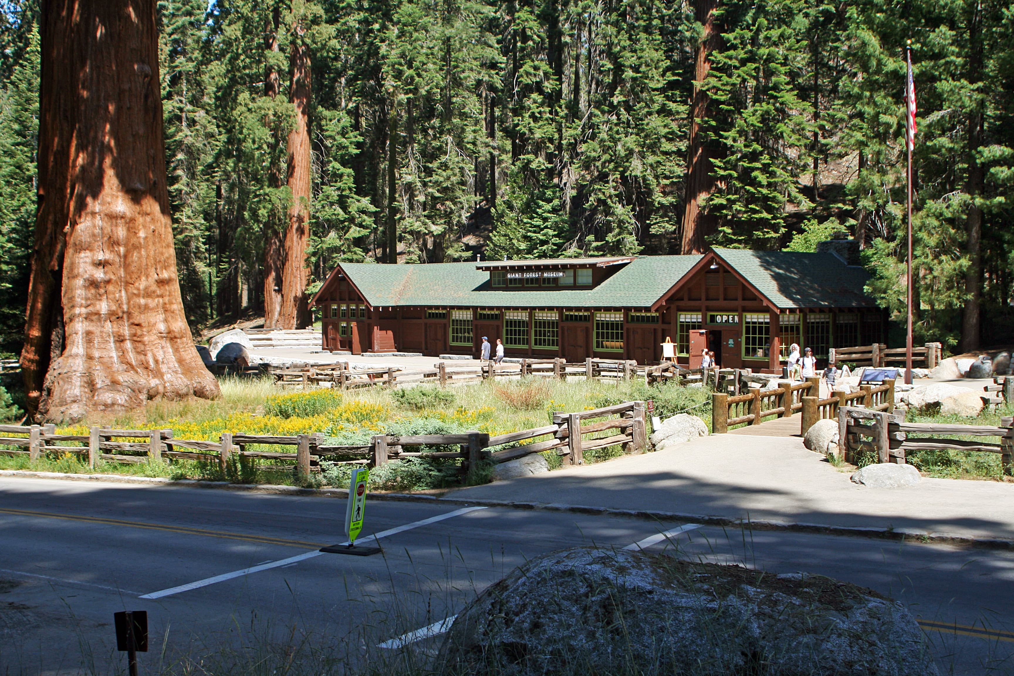 A rustic building surrounded by giant sequoias