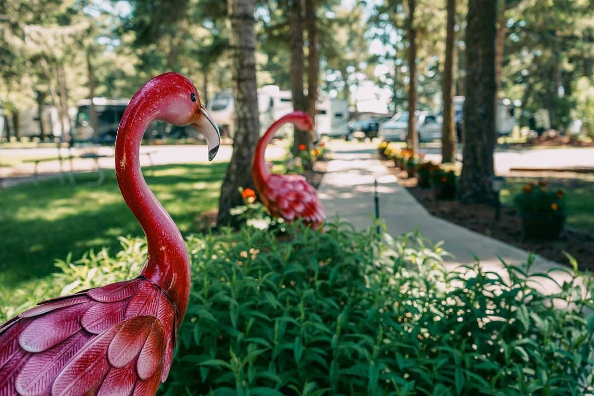 Jim & Mary's RV Park (Missoula, Montana) photo