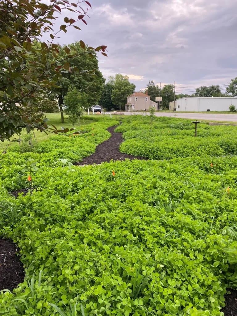 Alton RV Park (Galloway, Ohio) photo