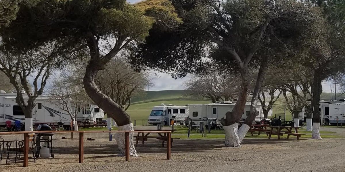 Oasis West RV Park (Santa Nella, California) photo
