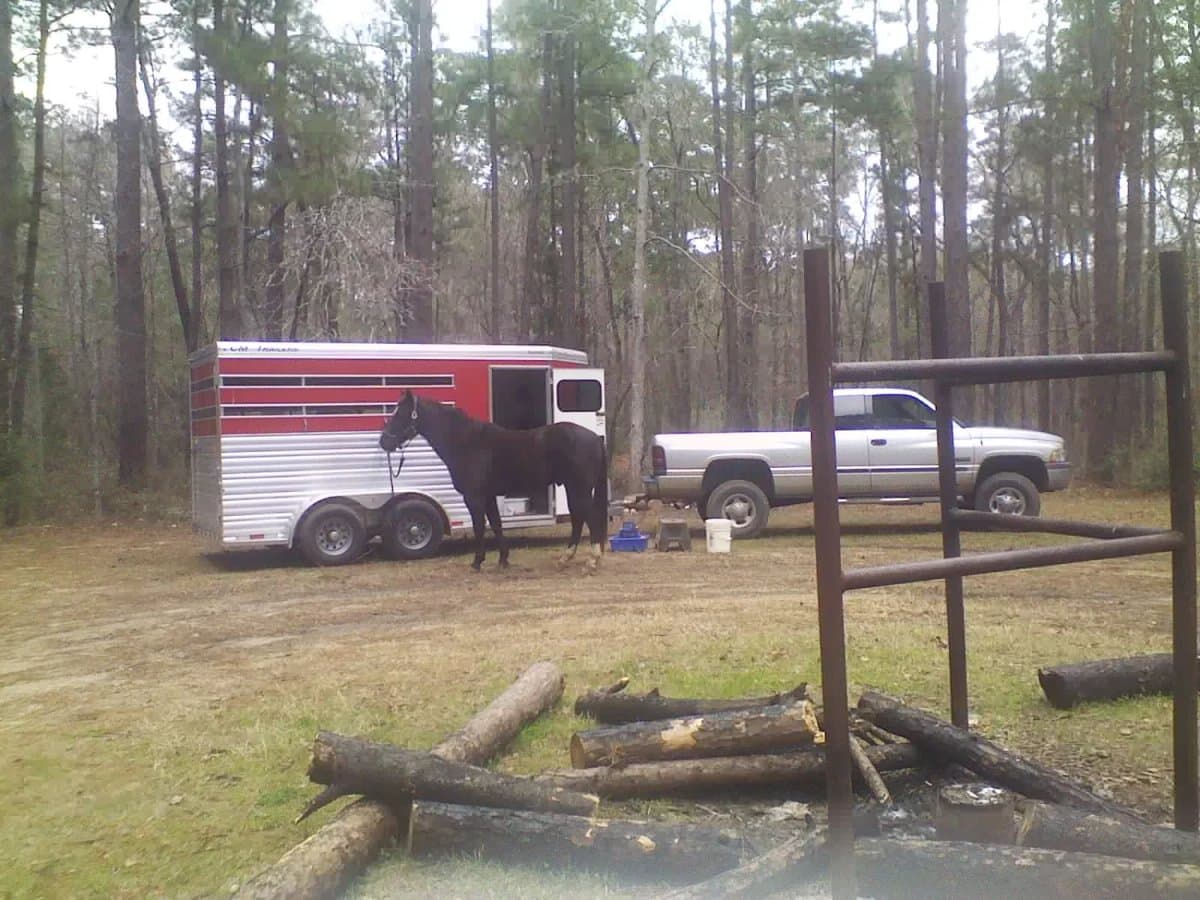 Broken Arrow Campground (Custer, South Dakota) photo