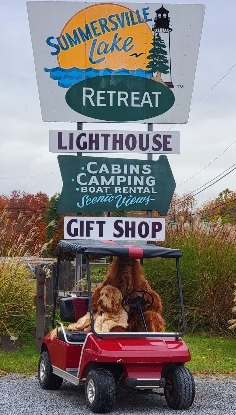 Summersville Lake Retreat & Lighthouse (Mt Nebo, West Virginia) photo