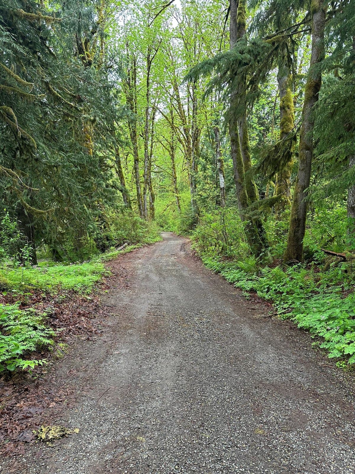 Glacier Peak Resort, RV Park & Winery (Rockport, Washington) photo