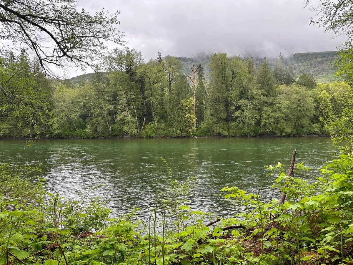 Glacier Peak Resort, RV Park & Winery (Rockport, Washington) photo