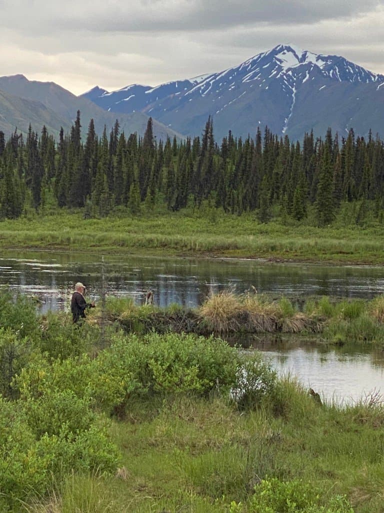 Cantwell RV Park 26 miles to Denali National Park