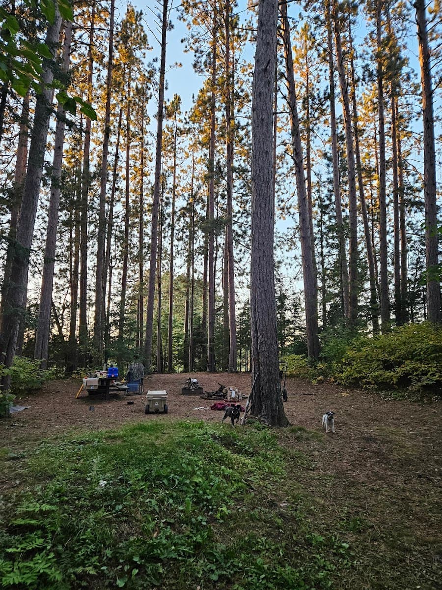 Buzz Ryan Campground