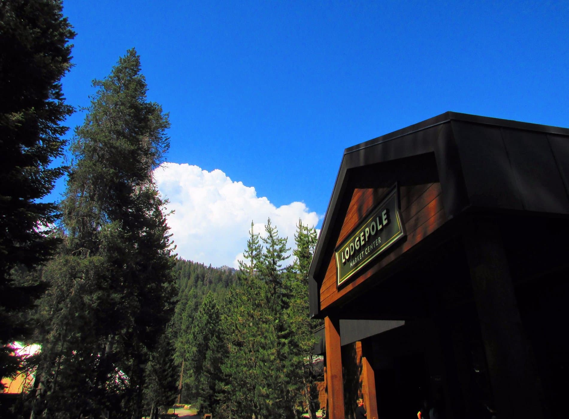 Lodgepole Campground