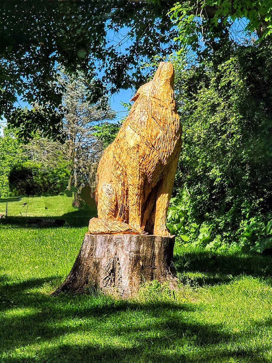 Wolfie's Family Campground and RV Resort