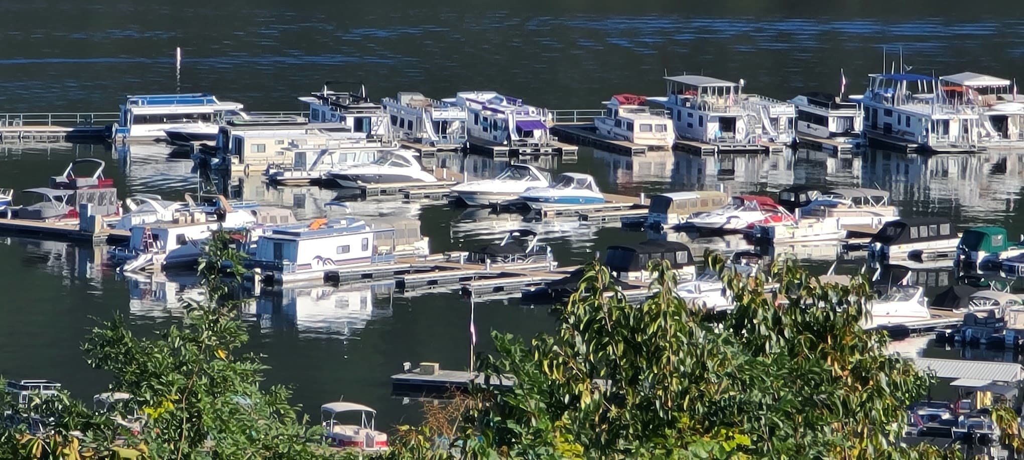 Seven Points Campground- Bay Camp Loop