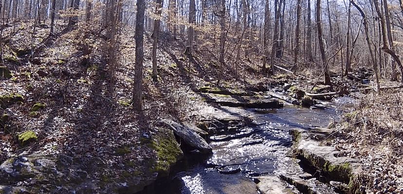 Whispering Harvest Campground