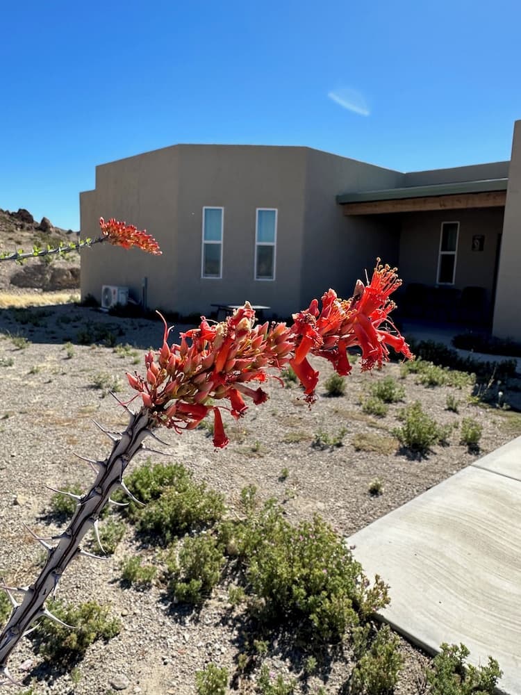 Paisano Village RV Park & Inn