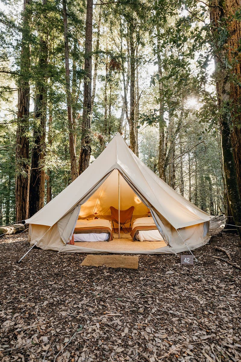 Lodgepole Campground