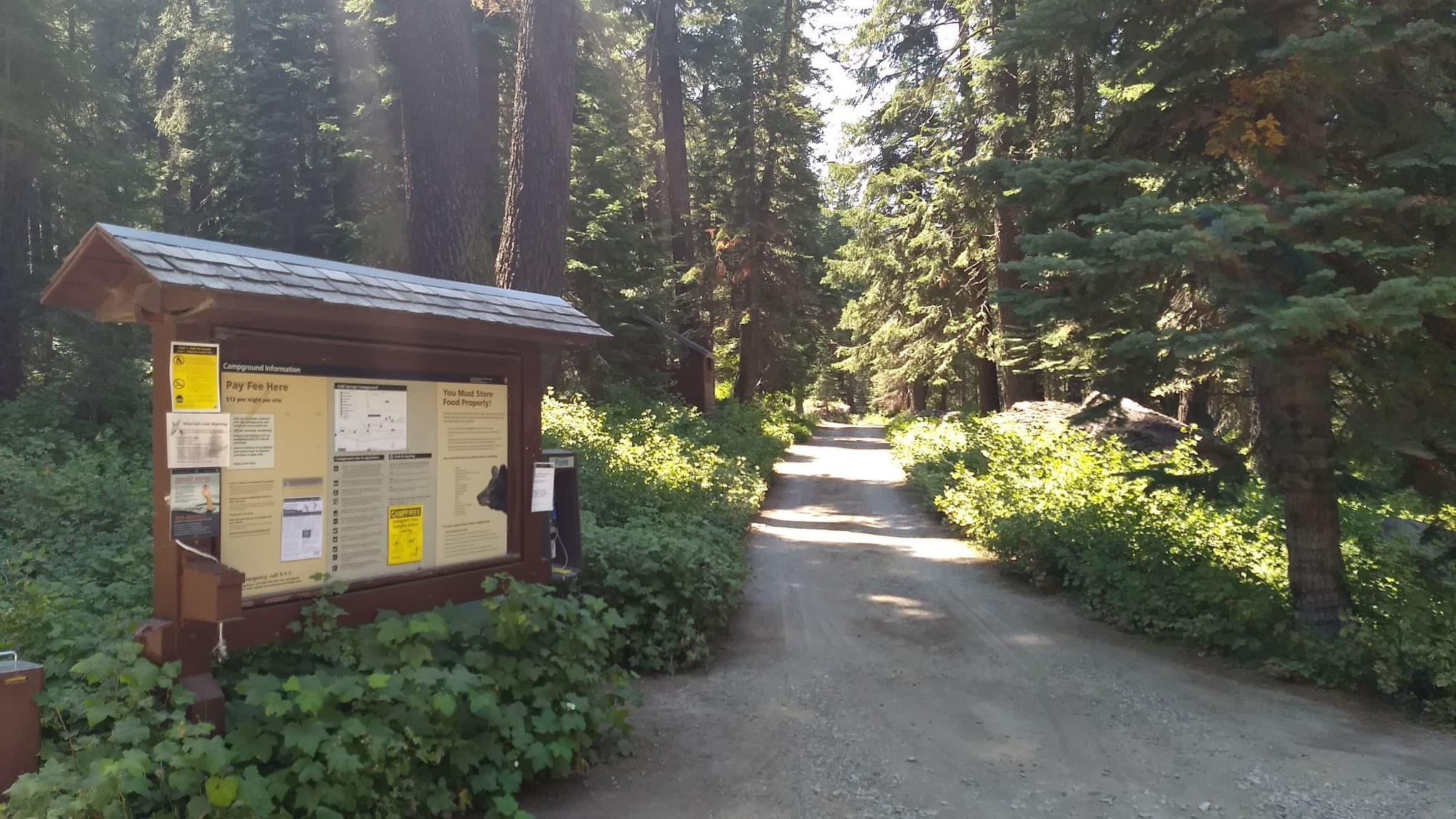 Cold Springs Campground