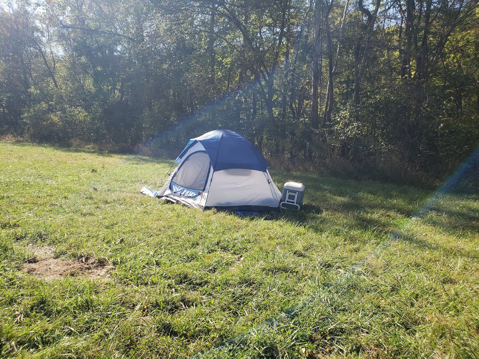 Carl H. Laemmli Field