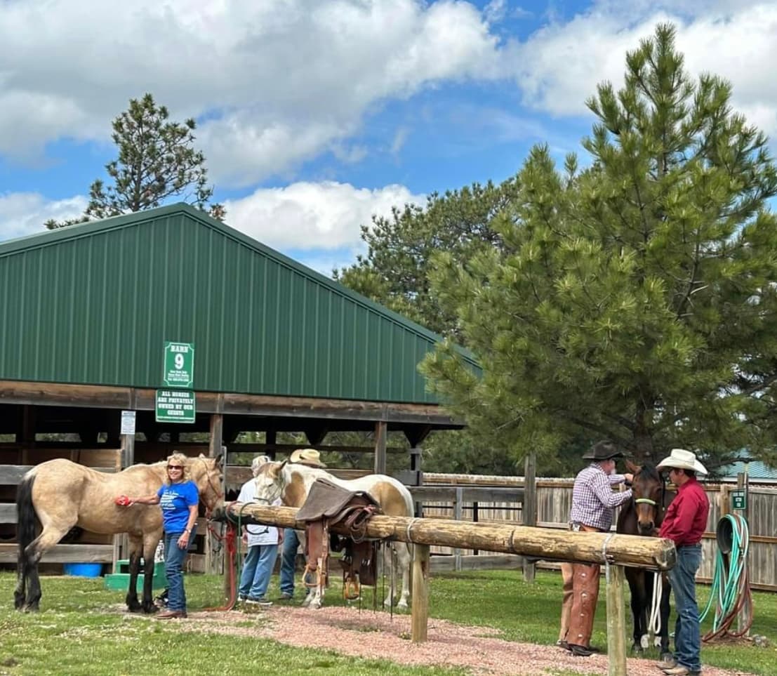 Broken Arrow Campground - Custer, SD