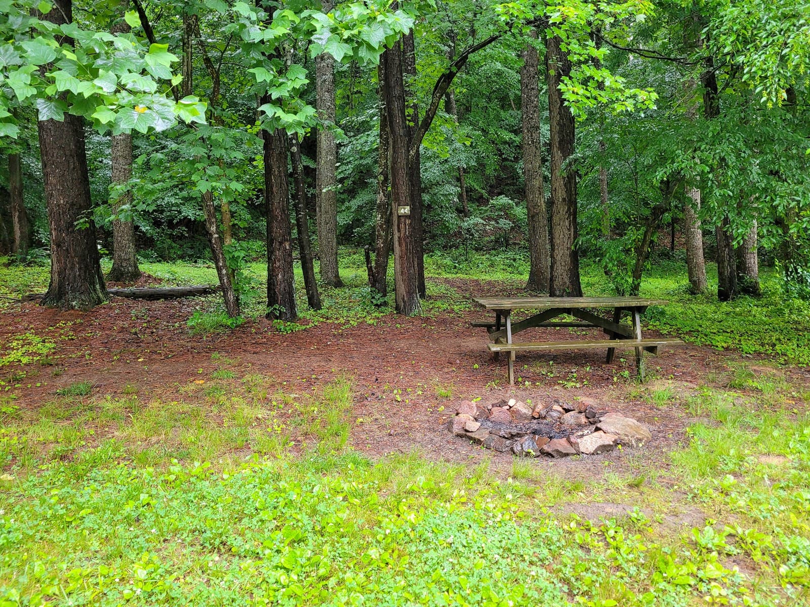 Rappahannock River Campground