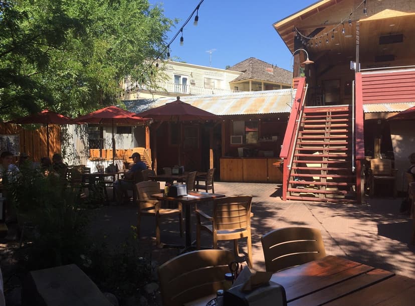 Pine Near RV Park & Campground