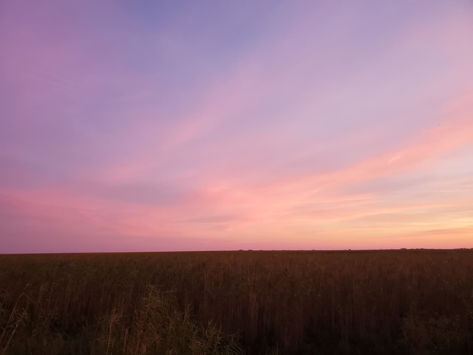 Southeast Pass Campground